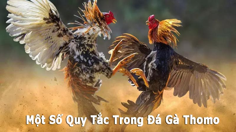 https://eetstoornismanagement-anyyou.nl/im/storage/luat-da-ga/luat-da-ga-thomo-1.jpg